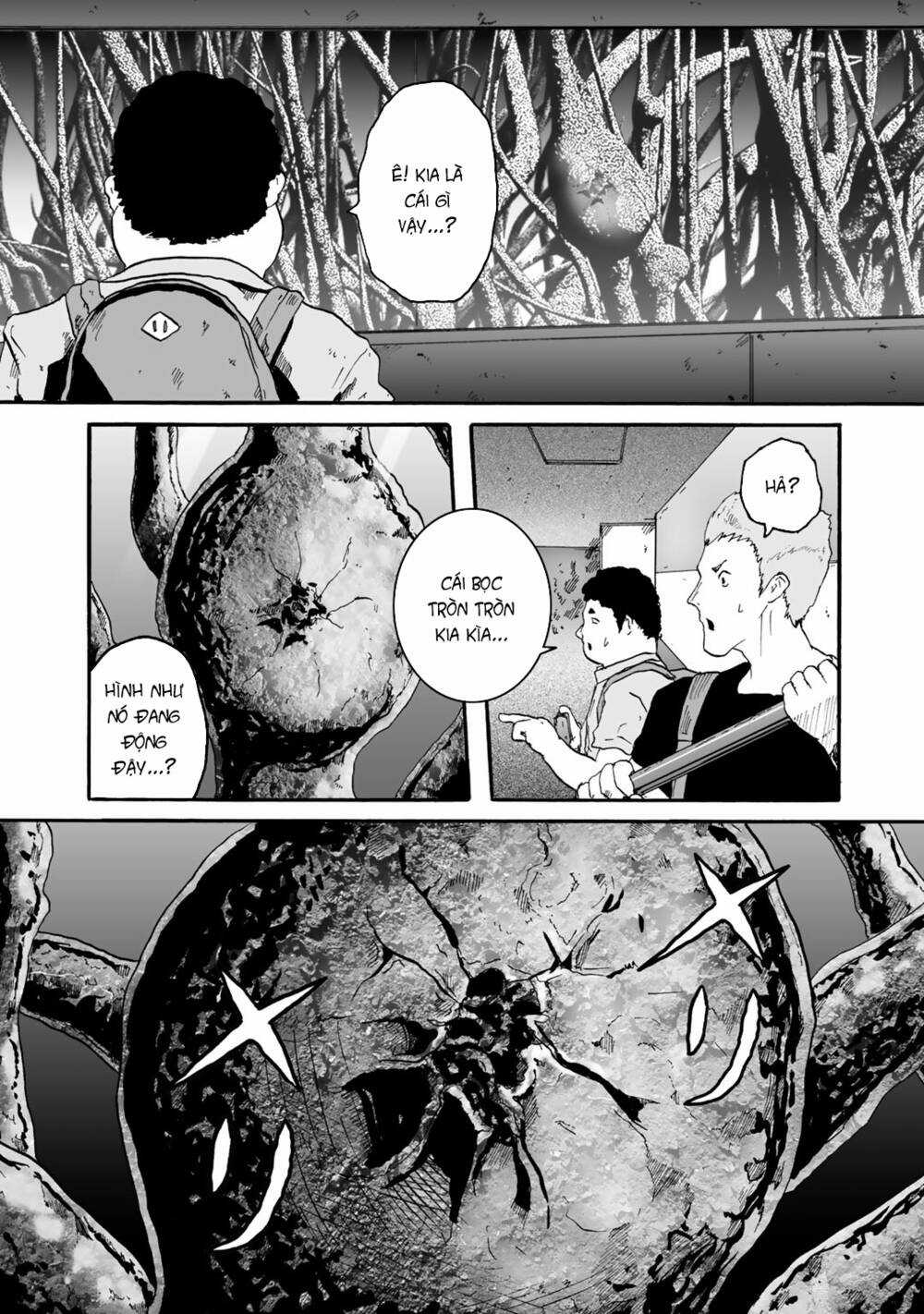 Insects R - Chapter 3 - Trang 28