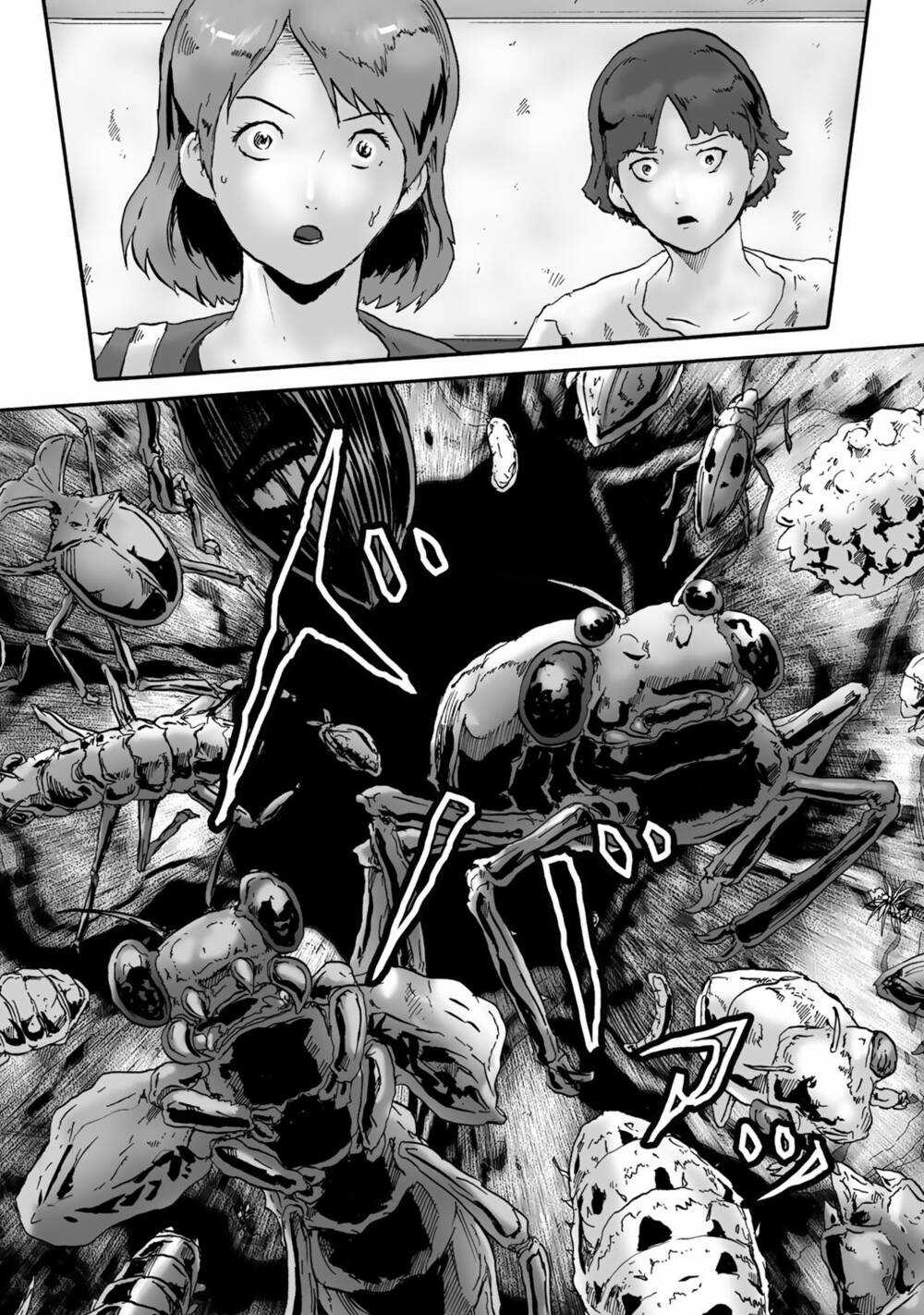 Insects R - Chapter 3 - Trang 29