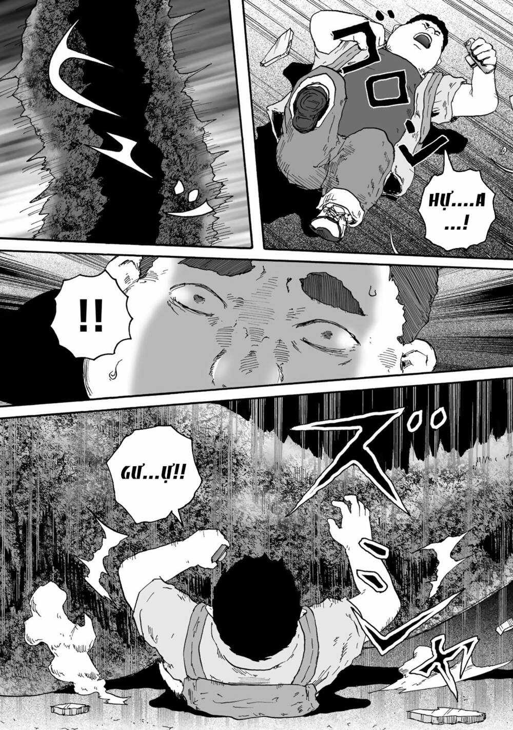 Insects R - Chapter 4 - Trang 22