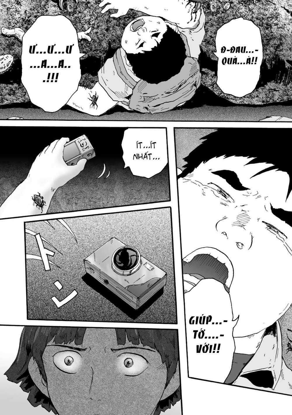 Insects R - Chapter 4 - Trang 25