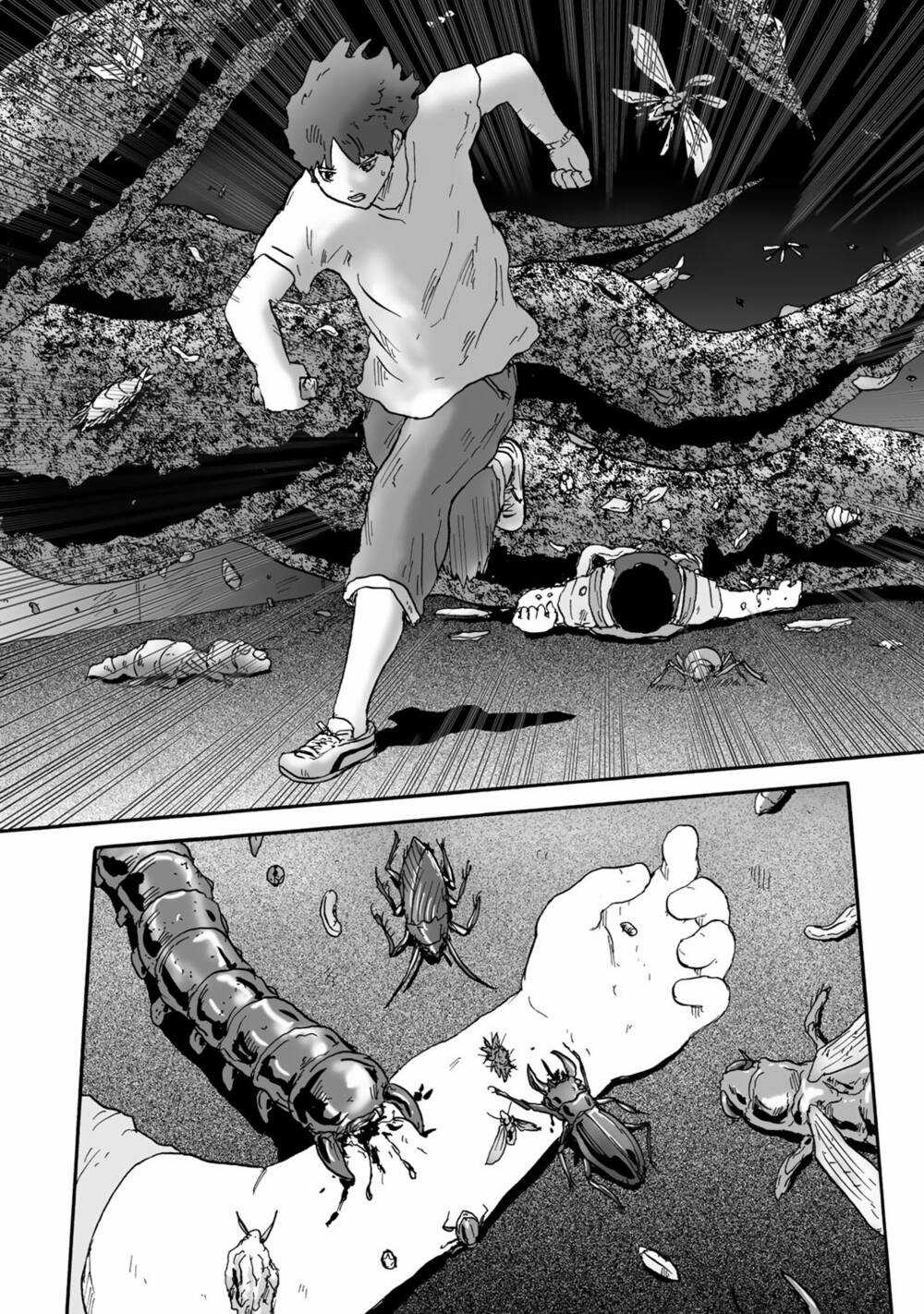 Insects R - Chapter 4 - Trang 27