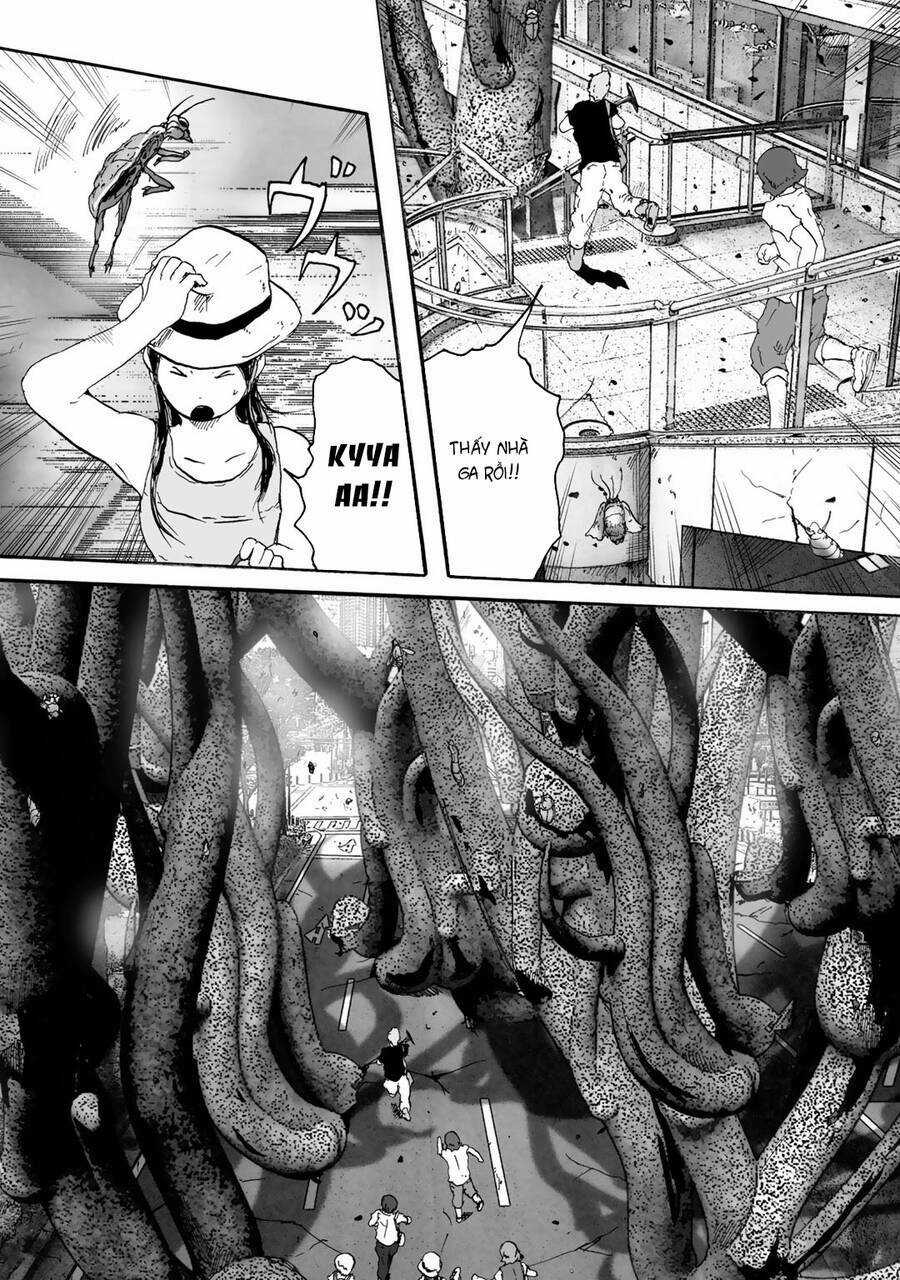 Insects R - Chapter 6 - Trang 13