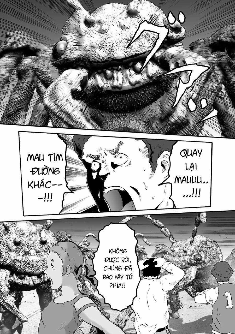 Insects R - Chapter 6 - Trang 20