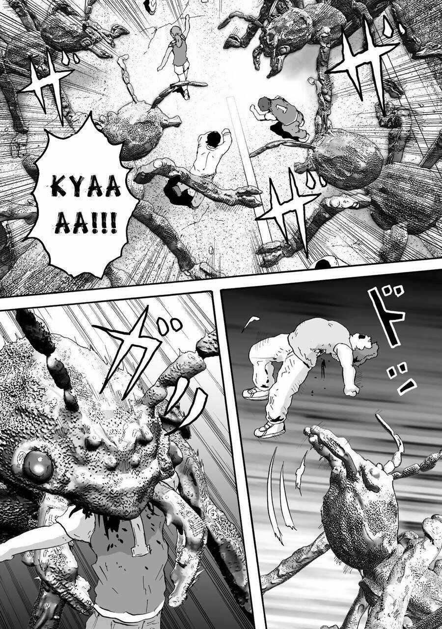 Insects R - Chapter 6 - Trang 21