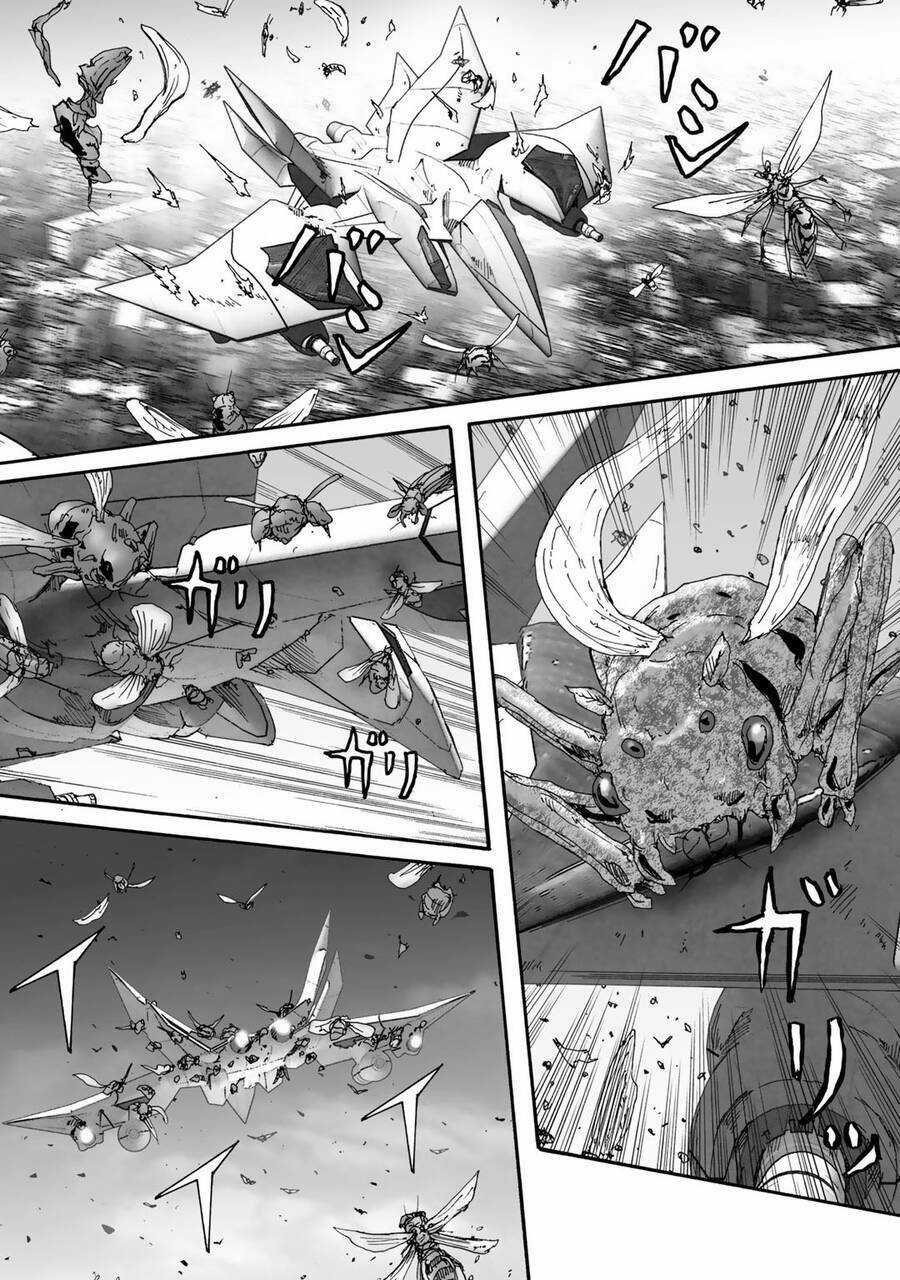 Insects R - Chapter 6 - Trang 28