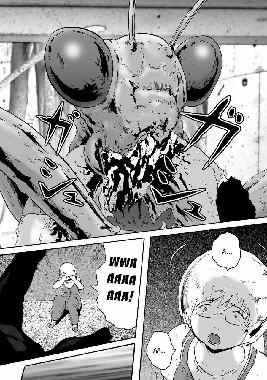 Insects R - Chapter 6 - Trang 10