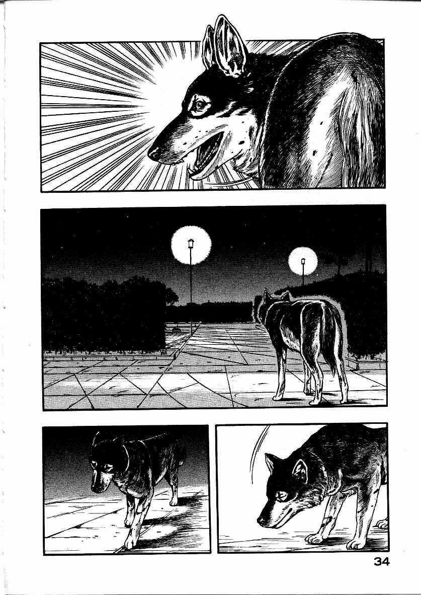 Inugami - Chapter 10 - Trang 37