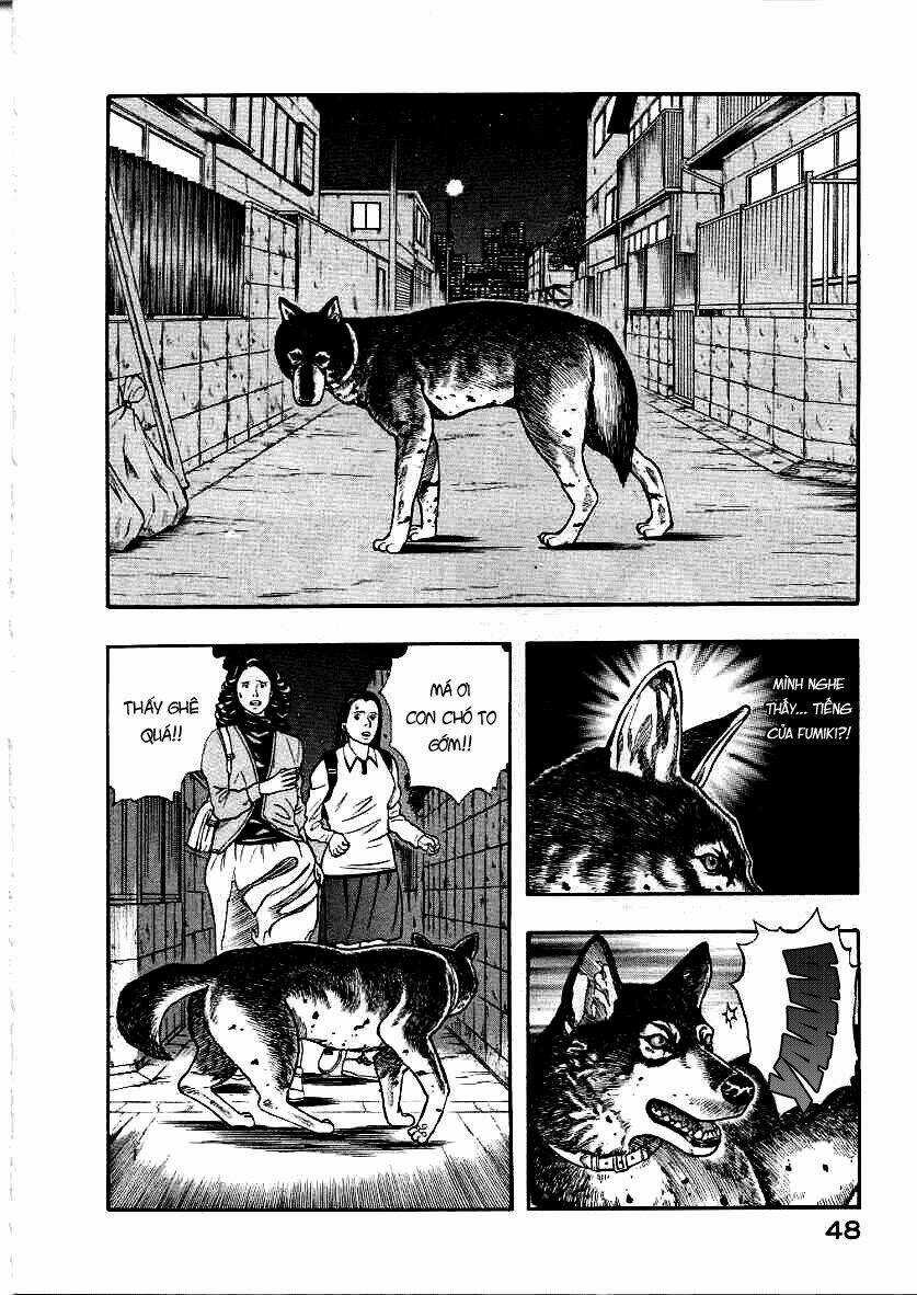 Inugami - Chapter 11 - Trang 6