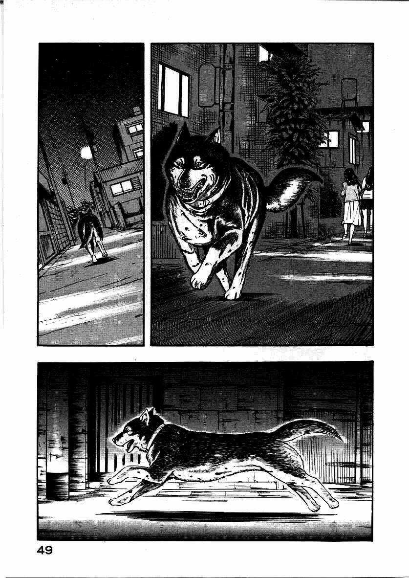 Inugami - Chapter 11 - Trang 7