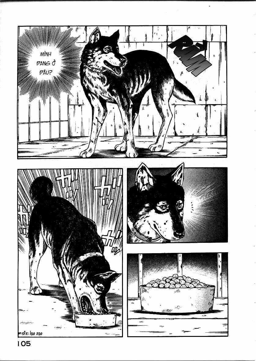 Inugami - Chapter 12 - Trang 23