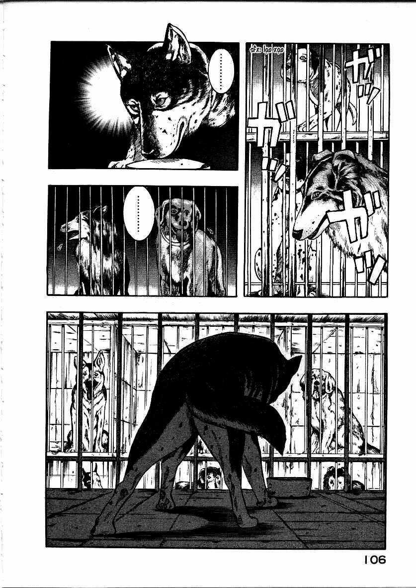 Inugami - Chapter 12 - Trang 24