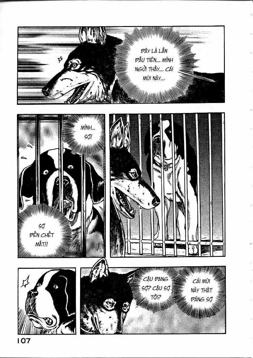 Inugami - Chapter 12 - Trang 25