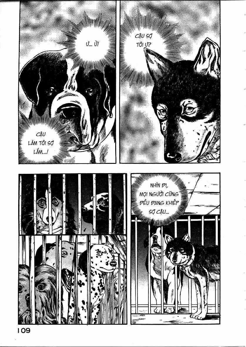 Inugami - Chapter 12 - Trang 27