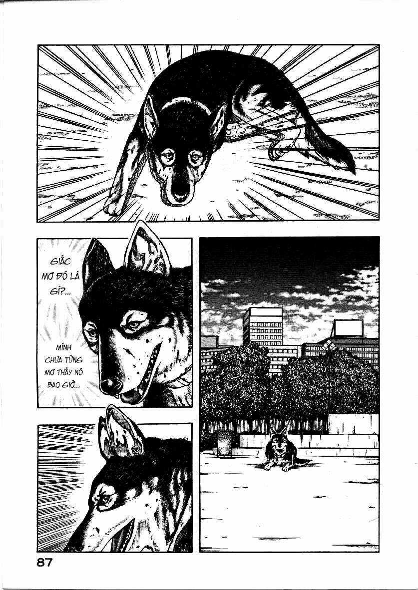 Inugami - Chapter 12 - Trang 5