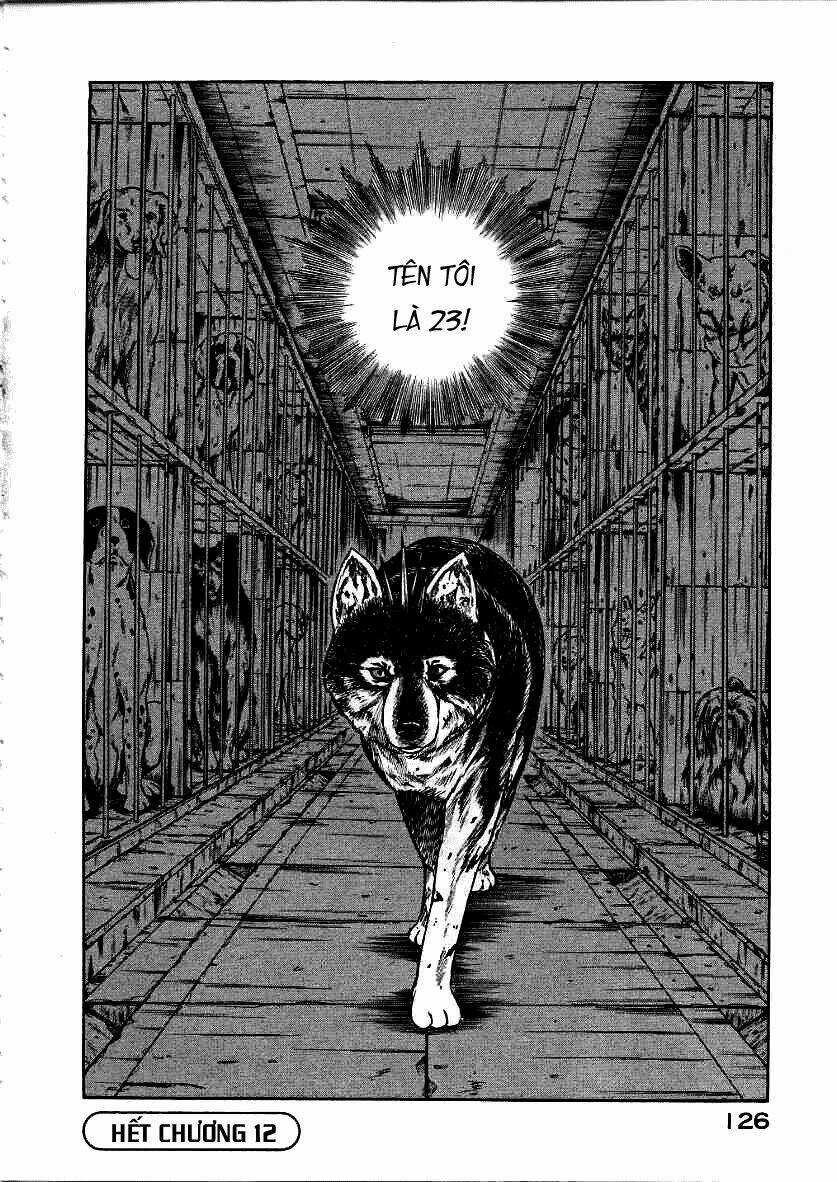 Inugami - Chapter 12 - Trang 44