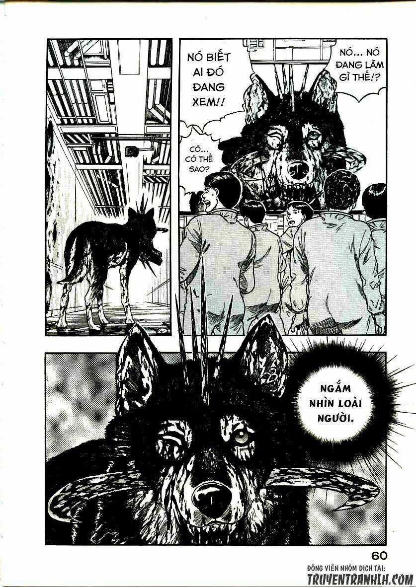 Inugami - Chapter 16 - Trang 21