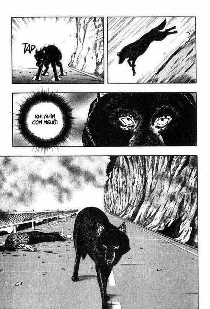 Inugami - Chapter 5 - Trang 20