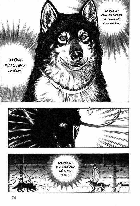 Inugami - Chapter 6 - Trang 36