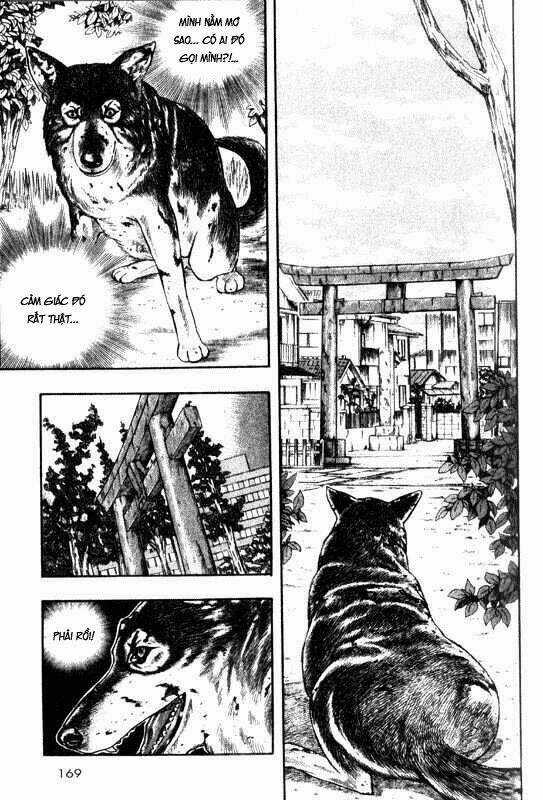 Inugami - Chapter 9 - Trang 11