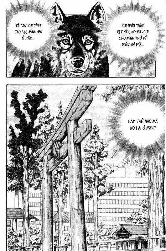 Inugami - Chapter 9 - Trang 12