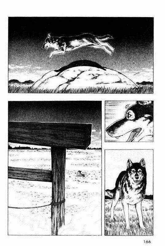 Inugami - Chapter 9 - Trang 8