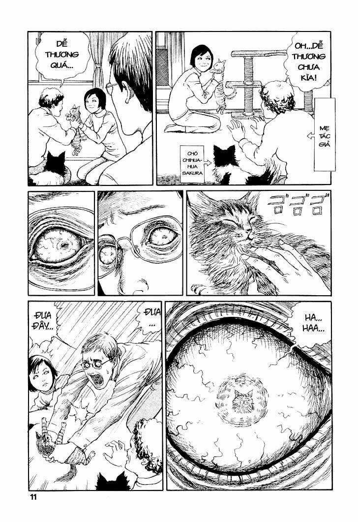 Ito Junji Cat's Diary - Chapter 1 - Trang 15