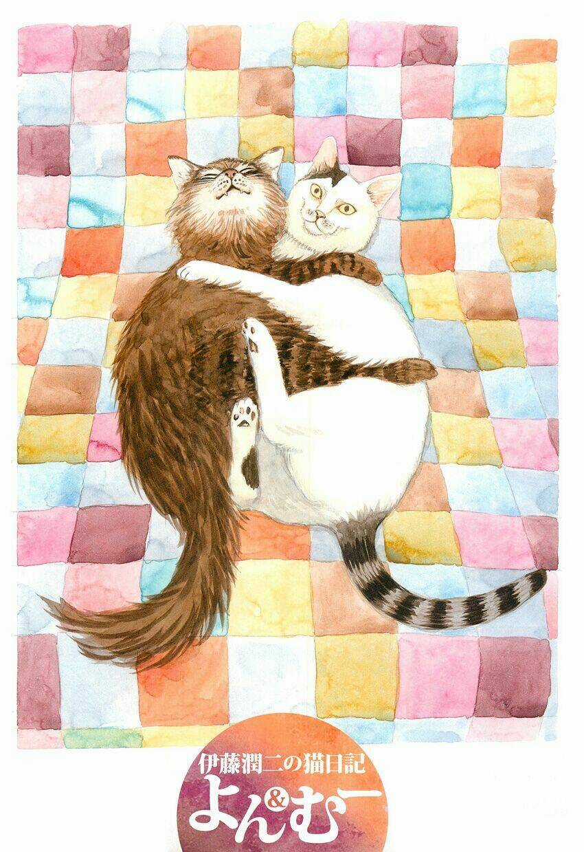 Ito Junji Cat's Diary - Chapter 1 - Trang 5