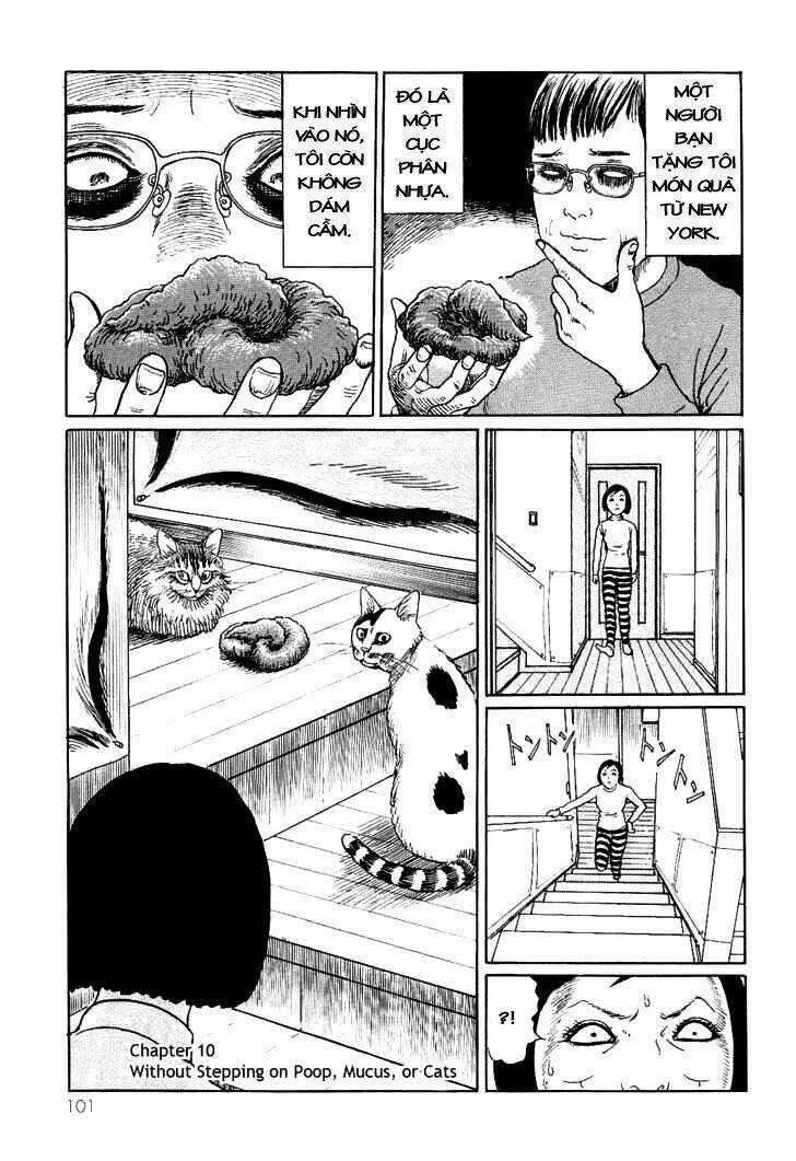 Ito Junji Cat's Diary - Chapter 10 - Trang 1