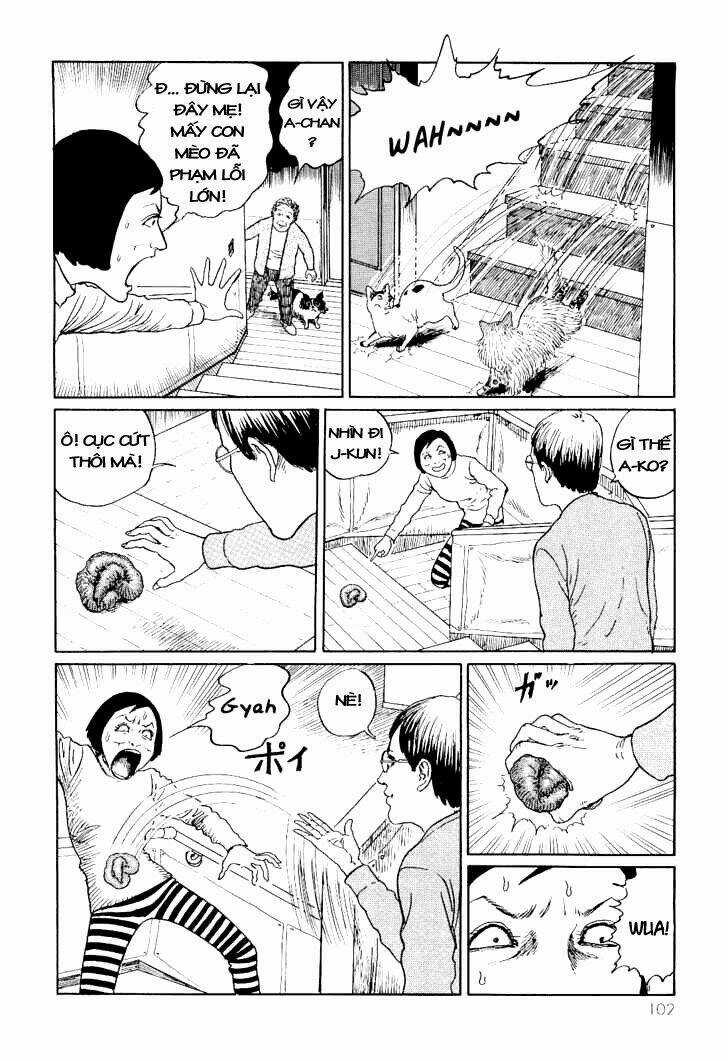 Ito Junji Cat's Diary - Chapter 10 - Trang 2