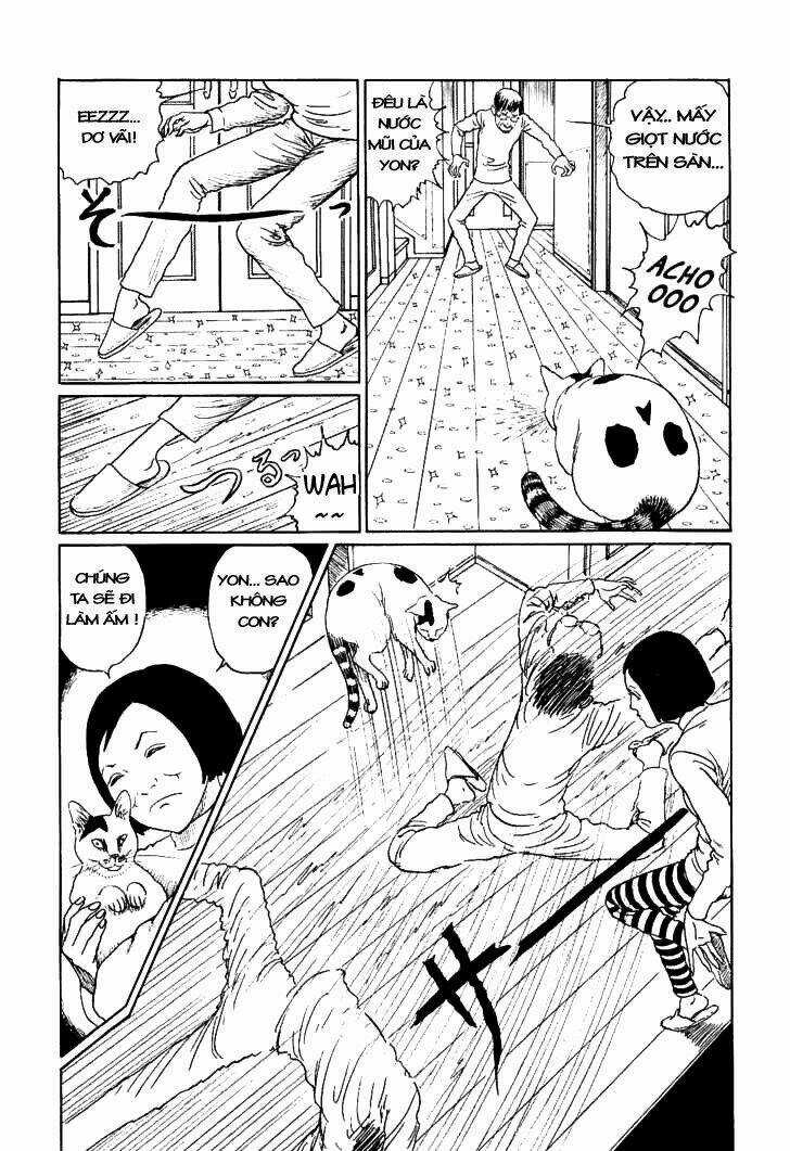 Ito Junji Cat's Diary - Chapter 10 - Trang 7