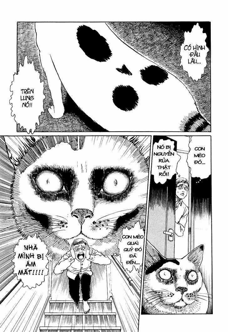 Ito Junji Cat's Diary - Chapter 2 - Trang 5