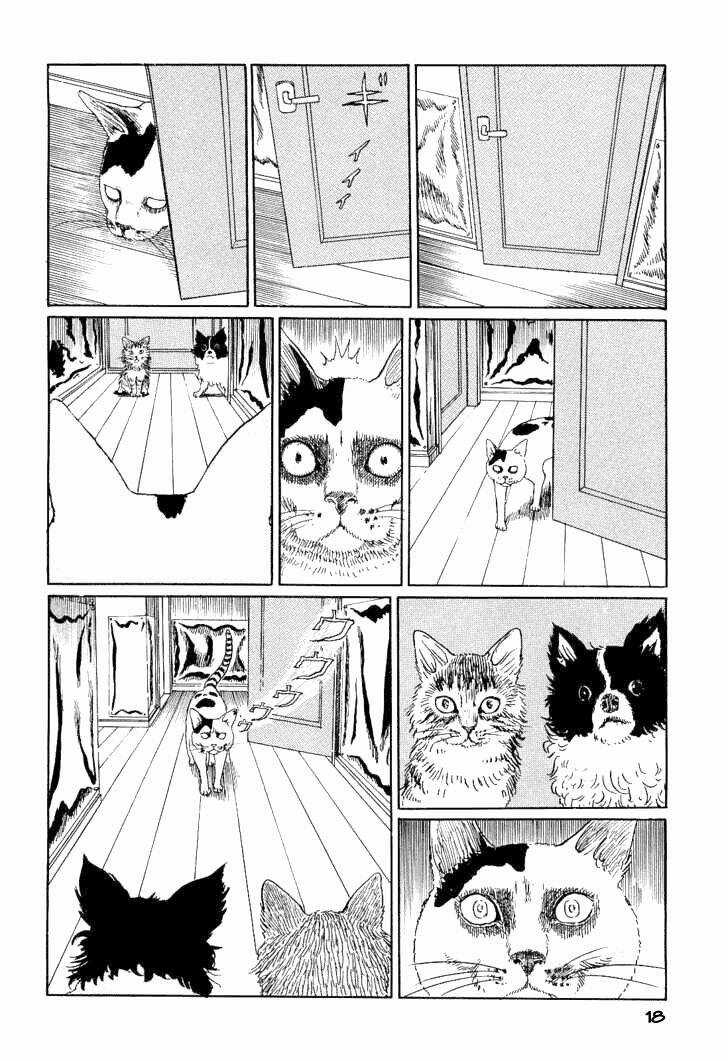 Ito Junji Cat's Diary - Chapter 2 - Trang 6