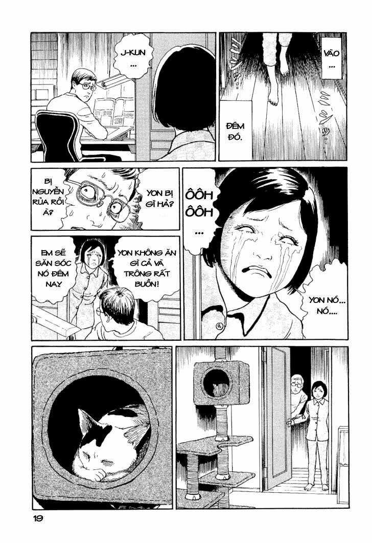 Ito Junji Cat's Diary - Chapter 2 - Trang 7