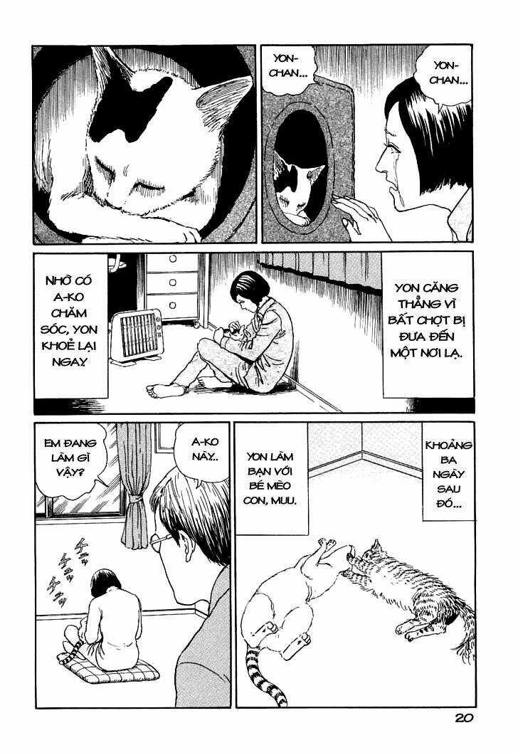 Ito Junji Cat's Diary - Chapter 2 - Trang 8