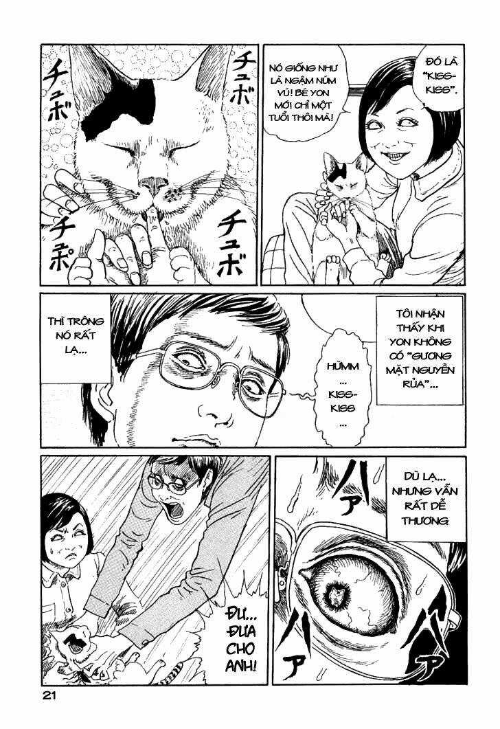 Ito Junji Cat's Diary - Chapter 2 - Trang 9