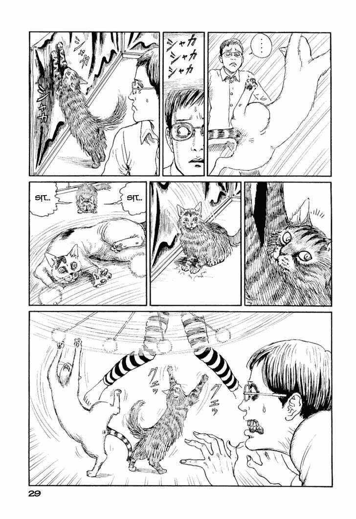Ito Junji Cat's Diary - Chapter 3 - Trang 5