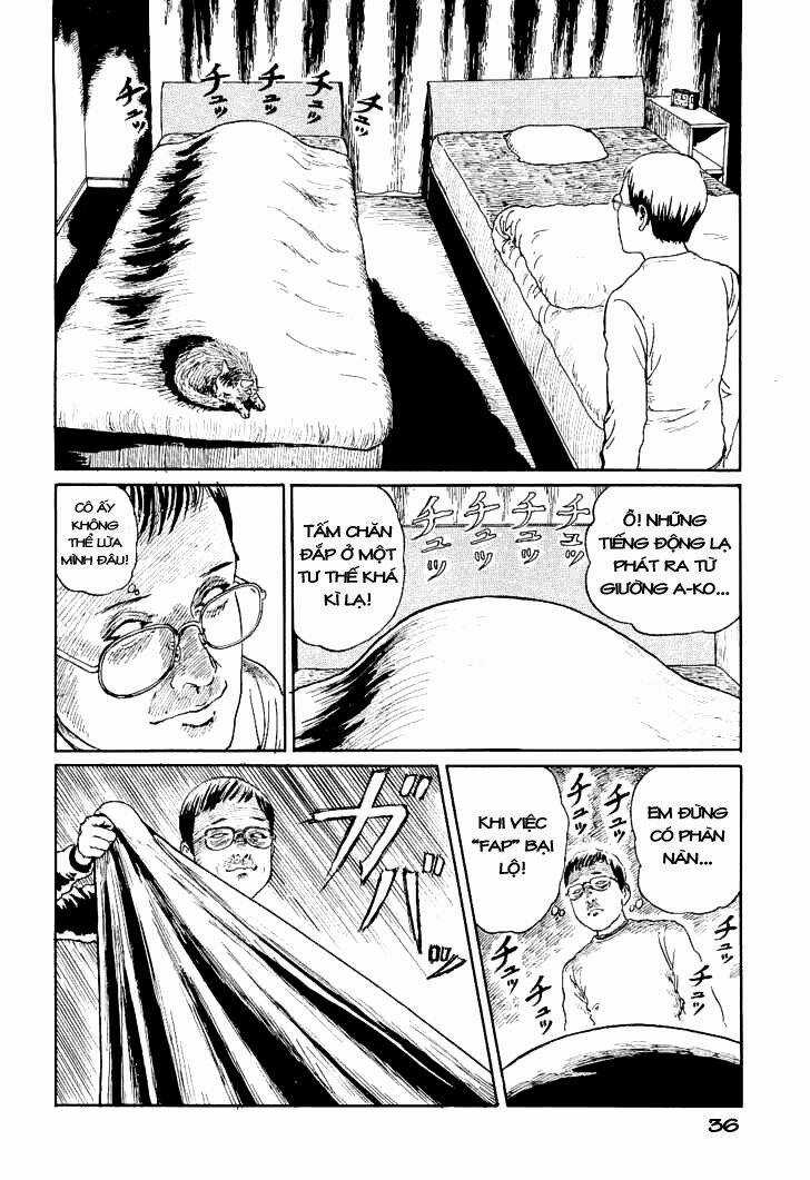 Ito Junji Cat's Diary - Chapter 4 - Trang 2