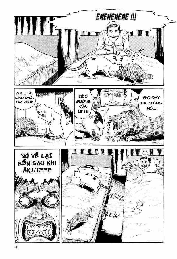 Ito Junji Cat's Diary - Chapter 4 - Trang 7