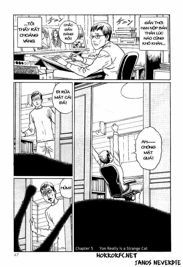 Ito Junji Cat's Diary - Chapter 5 - Trang 1