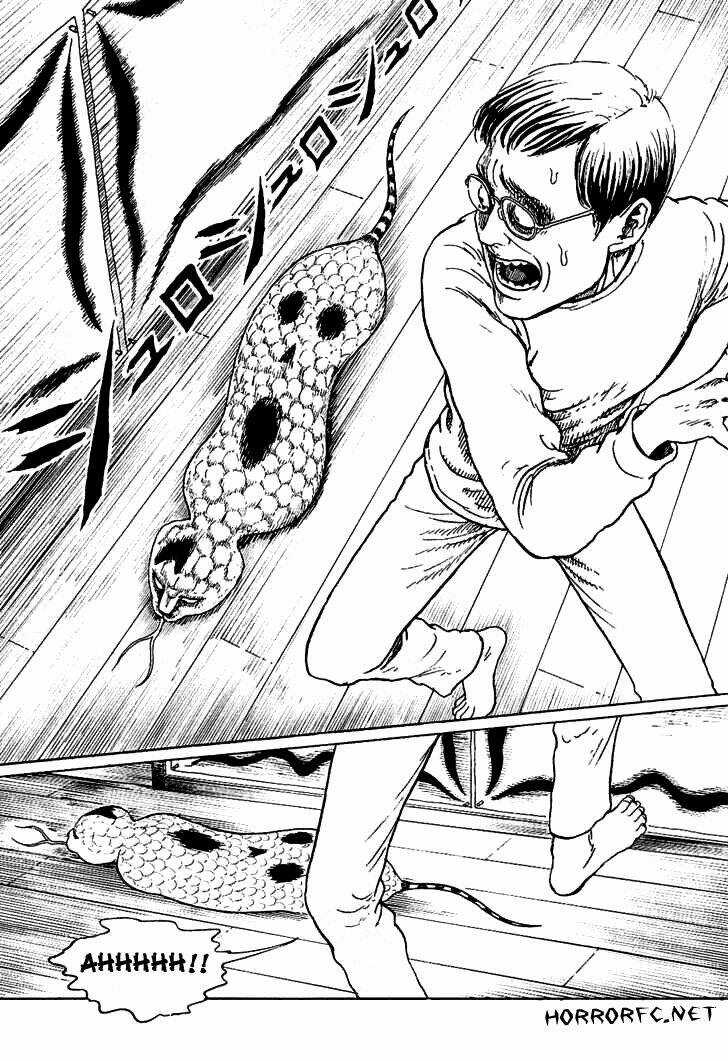 Ito Junji Cat's Diary - Chapter 5 - Trang 5