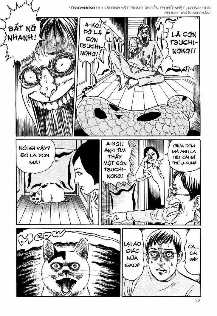 Ito Junji Cat's Diary - Chapter 5 - Trang 6