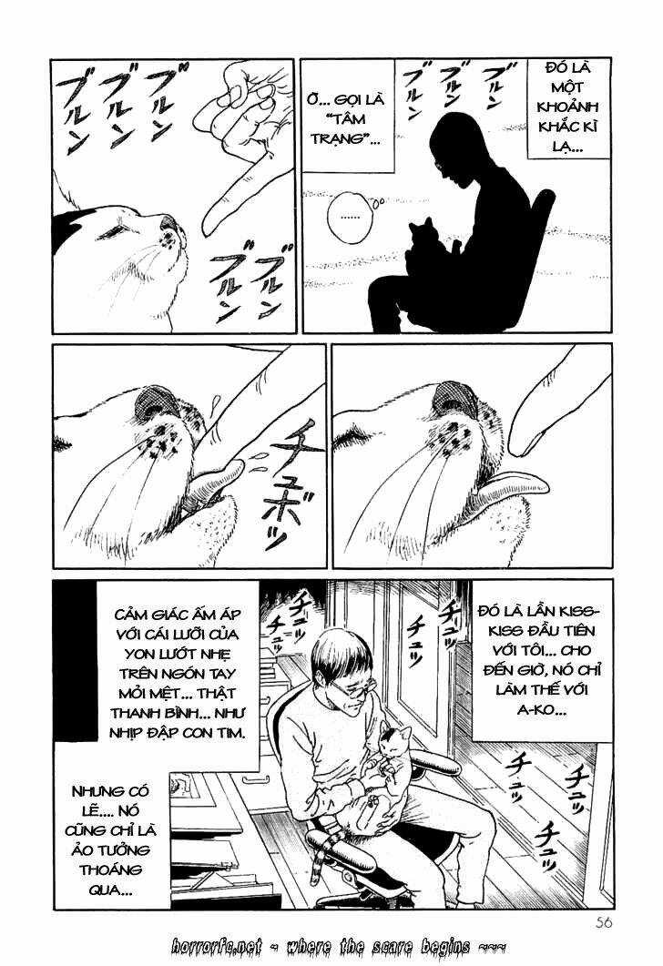 Ito Junji Cat's Diary - Chapter 5 - Trang 10