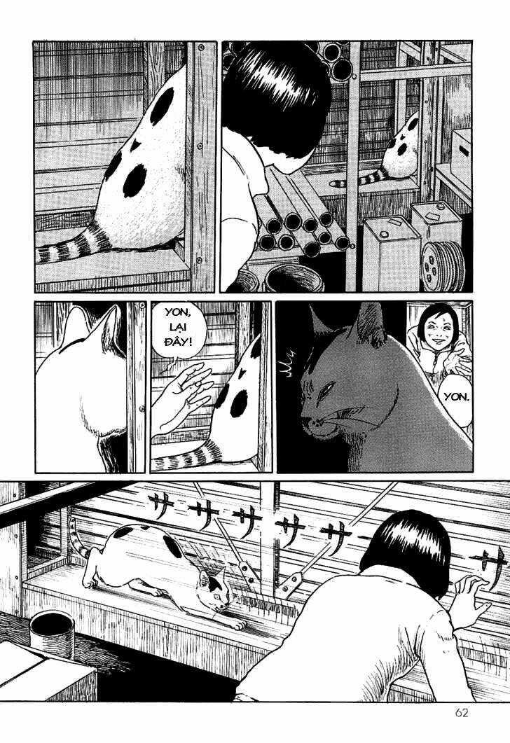Ito Junji Cat's Diary - Chapter 6 - Trang 6