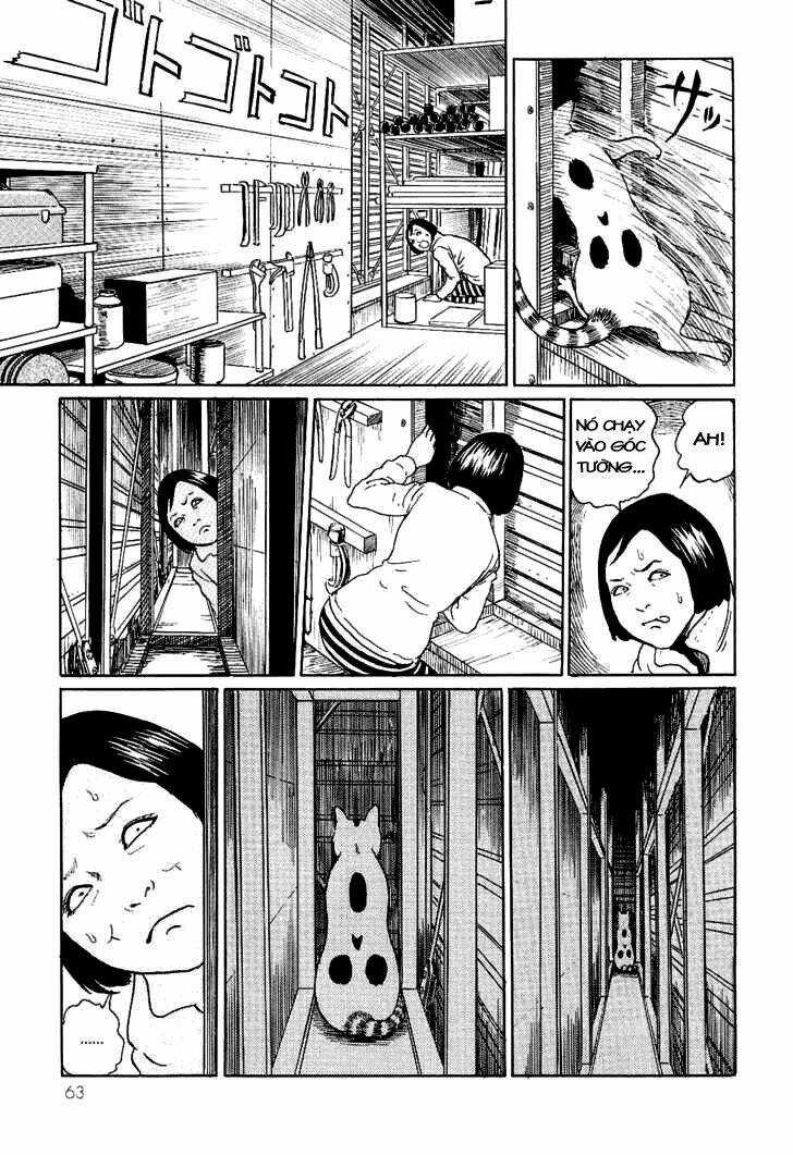 Ito Junji Cat's Diary - Chapter 6 - Trang 7