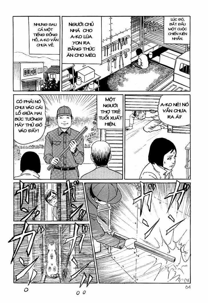 Ito Junji Cat's Diary - Chapter 6 - Trang 8