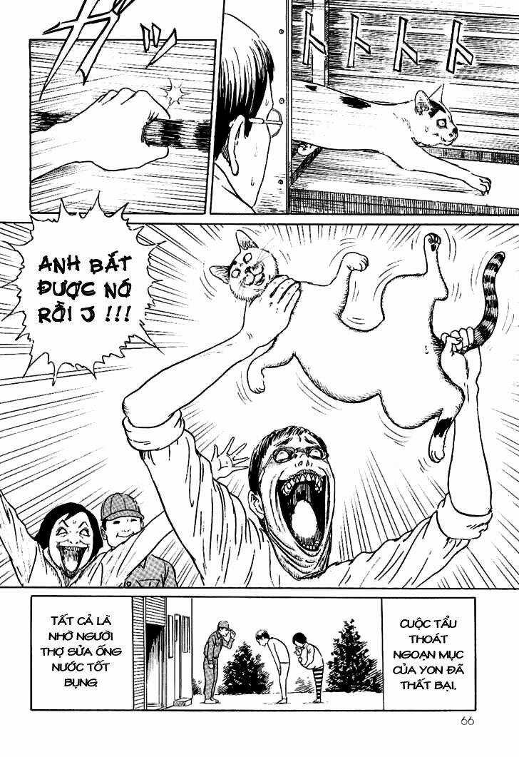 Ito Junji Cat's Diary - Chapter 6 - Trang 10