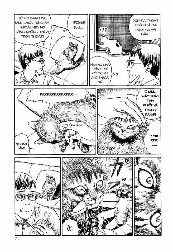 Ito Junji Cat's Diary - Chapter 7 - Trang 3