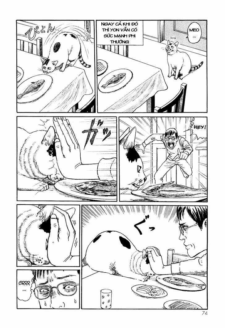 Ito Junji Cat's Diary - Chapter 7 - Trang 6