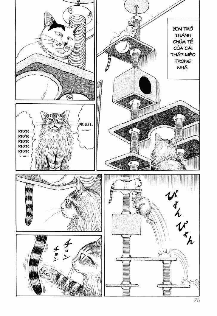 Ito Junji Cat's Diary - Chapter 7 - Trang 8