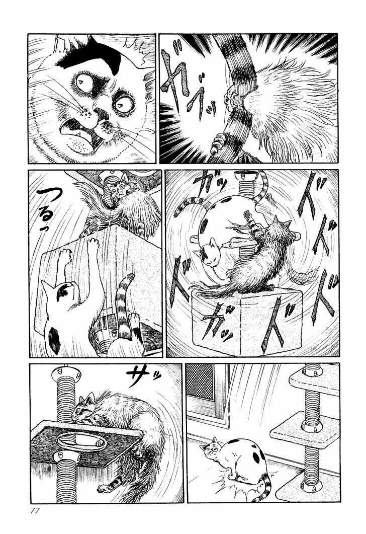 Ito Junji Cat's Diary - Chapter 7 - Trang 9